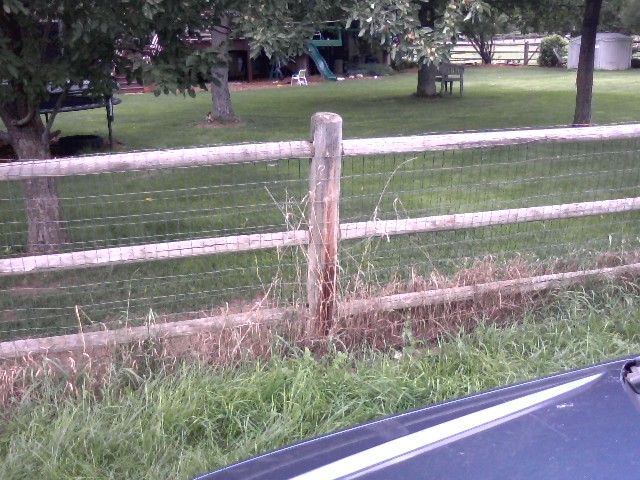 Wire Mesh on Split Rail  Fence 