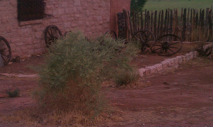 Log Fence in UT