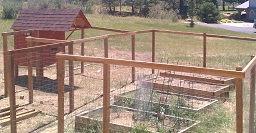 Wire Fence to Protect Vegetable Garden Parker
