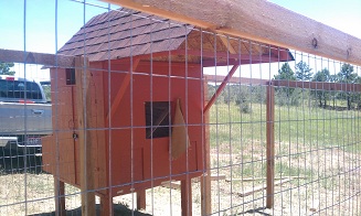 Wire Fence Around Chicken Coup Parker